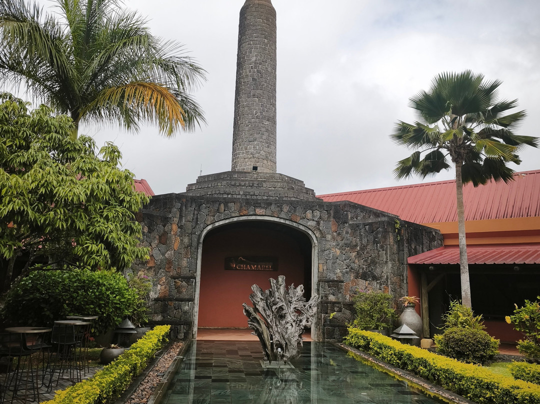 Antonio Taxi Mauritius-Palmar必去景点