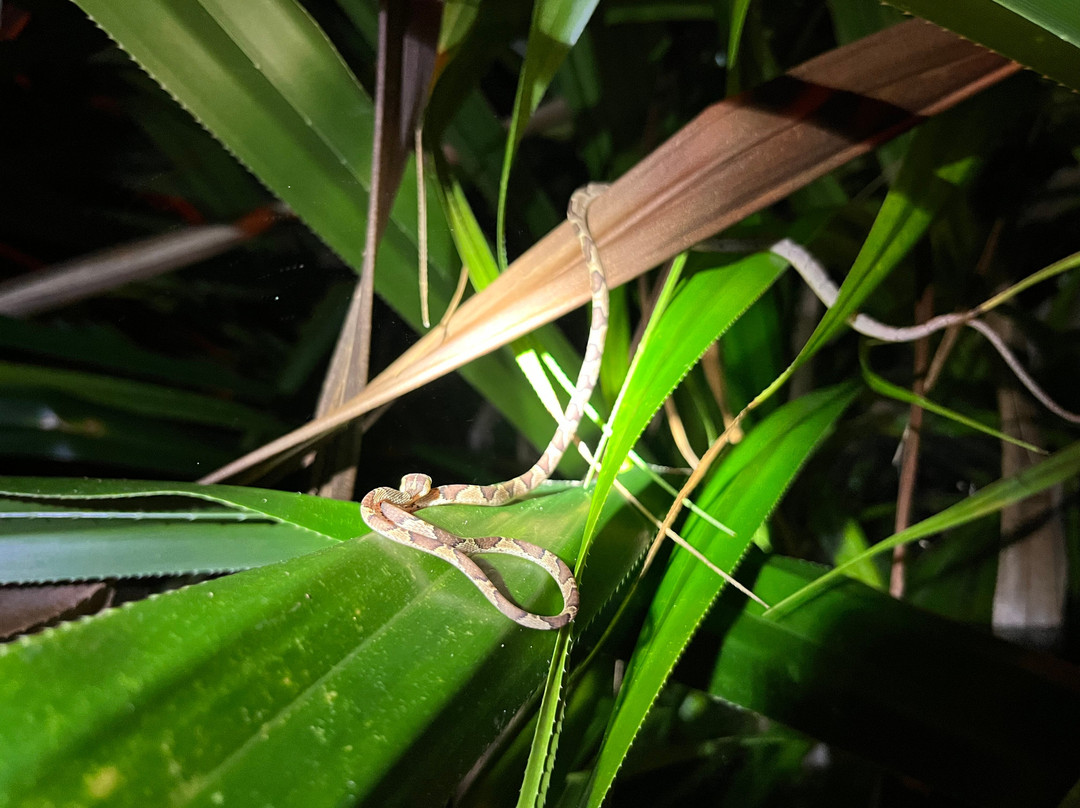 Marceille-TortugueroAdventures-托图杰多必去景点