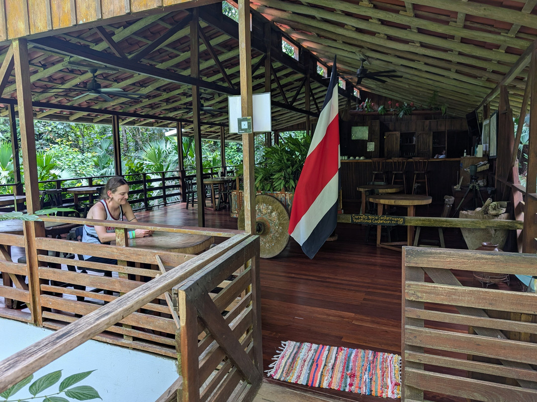 Selva Bananito Lodge主图