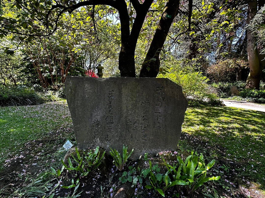 Japanese Garden Leverkusen-勒沃库森必去景点