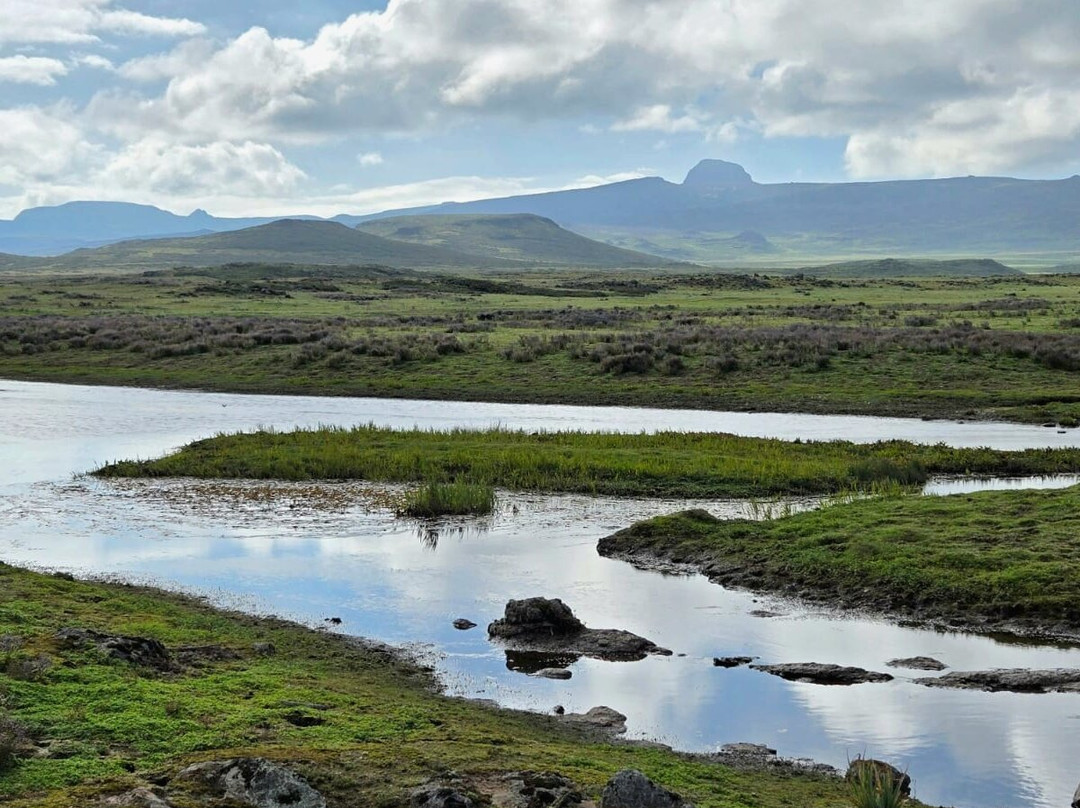 Bale Mountains Brilliant Tours-Goba必去景点