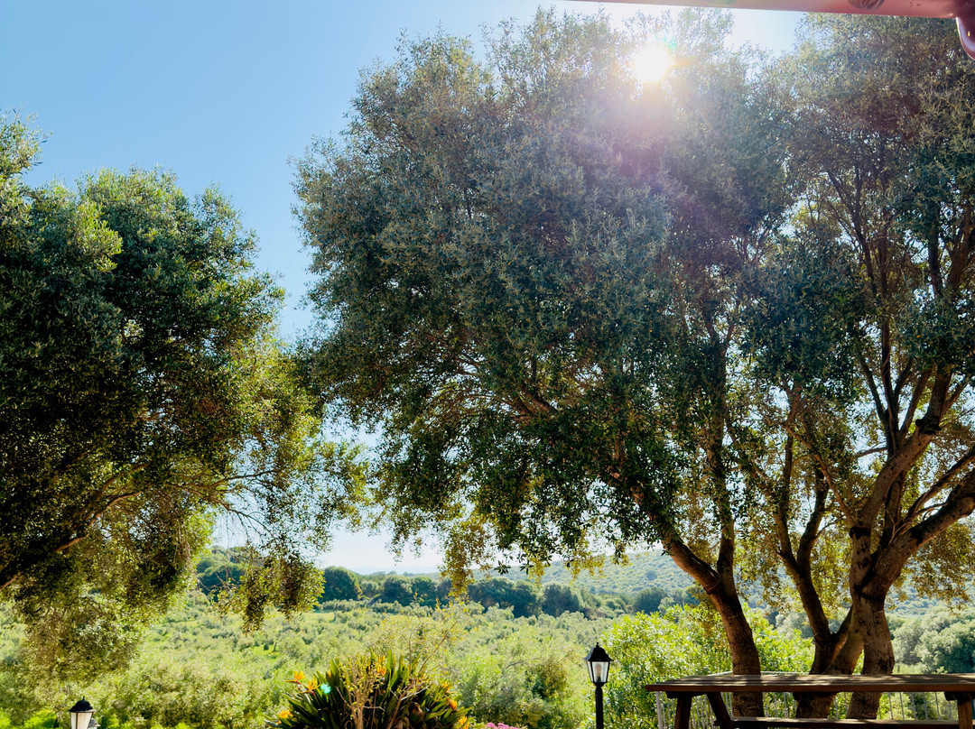 Agriturismo Sa Ruscitta主图