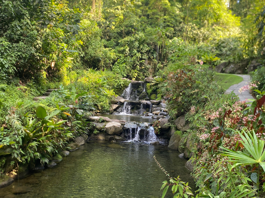 Kurú Natural Springs-福德圣卡洛斯必去景点