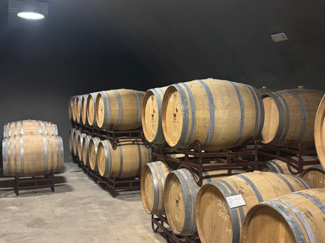 Cabrita Wines-Silves必去景点