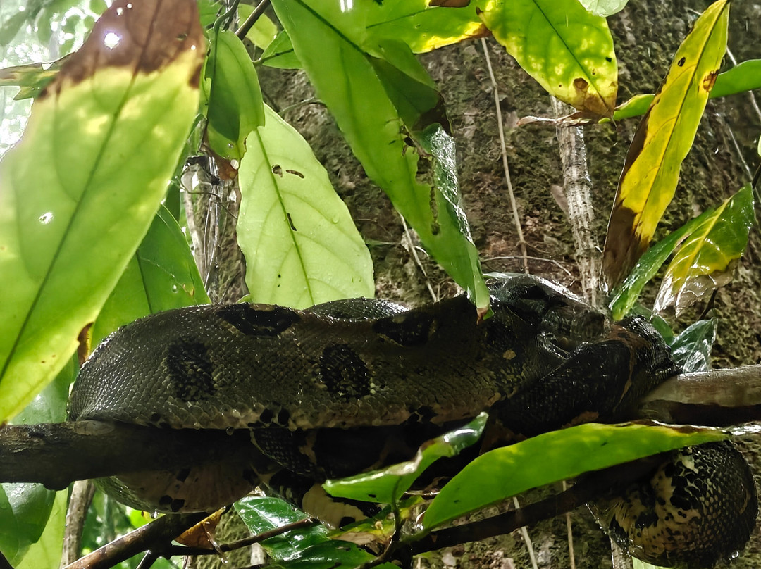 Costa Rica Wild Expeditions-希门尼斯港必去景点