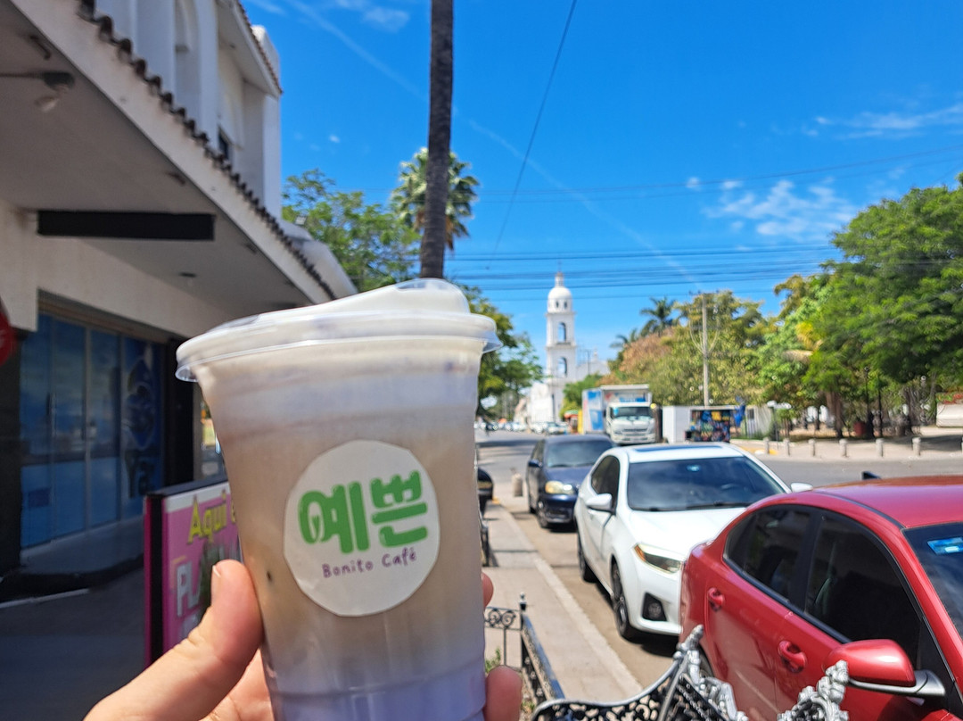 Yeppo | Bonito Café