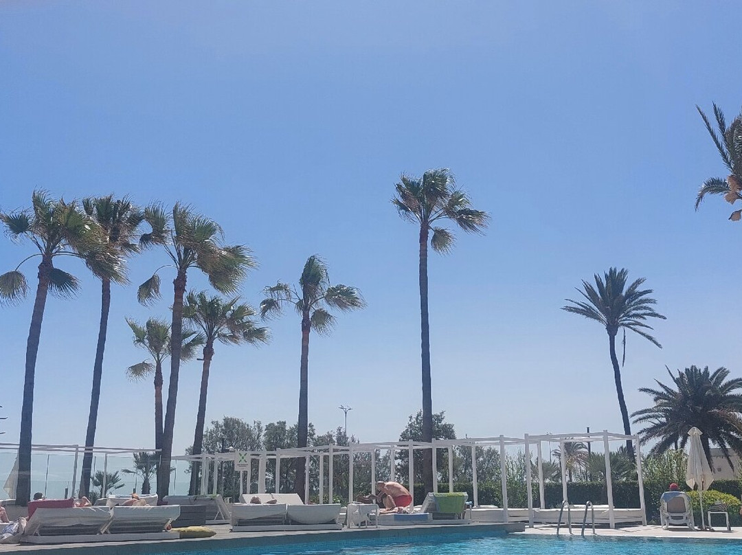 Protur Playa Cala Millor Hotel主图