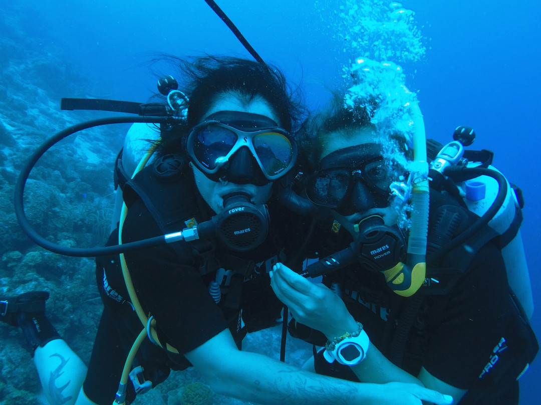 Fundiving Curacao-威廉斯塔德必去景点