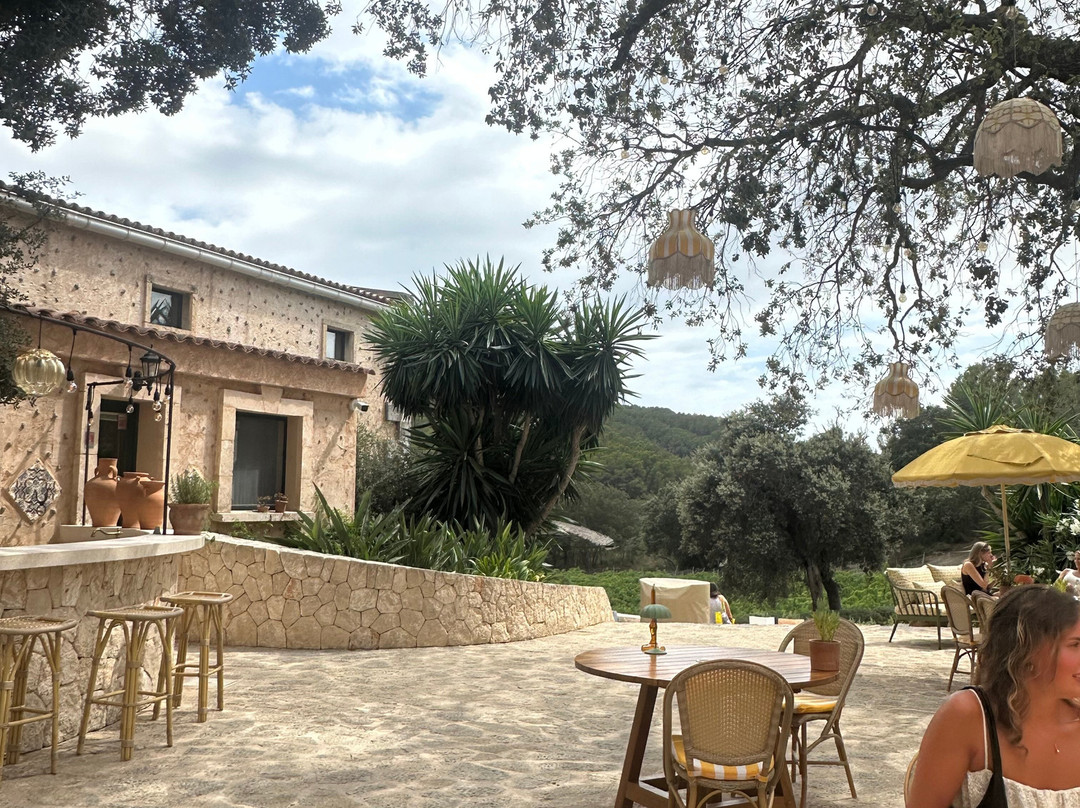 Bodega Terra Ión-Andratx必去景点