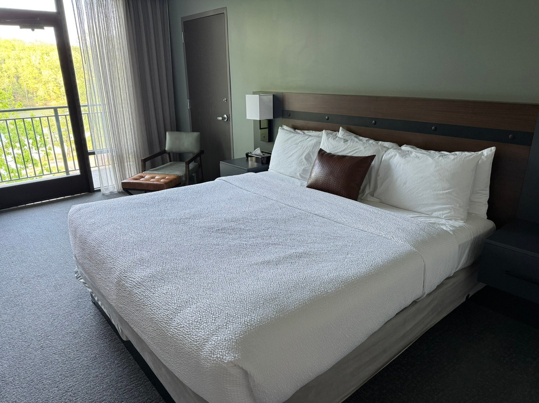 The Lodge at Montgomery Bell主图