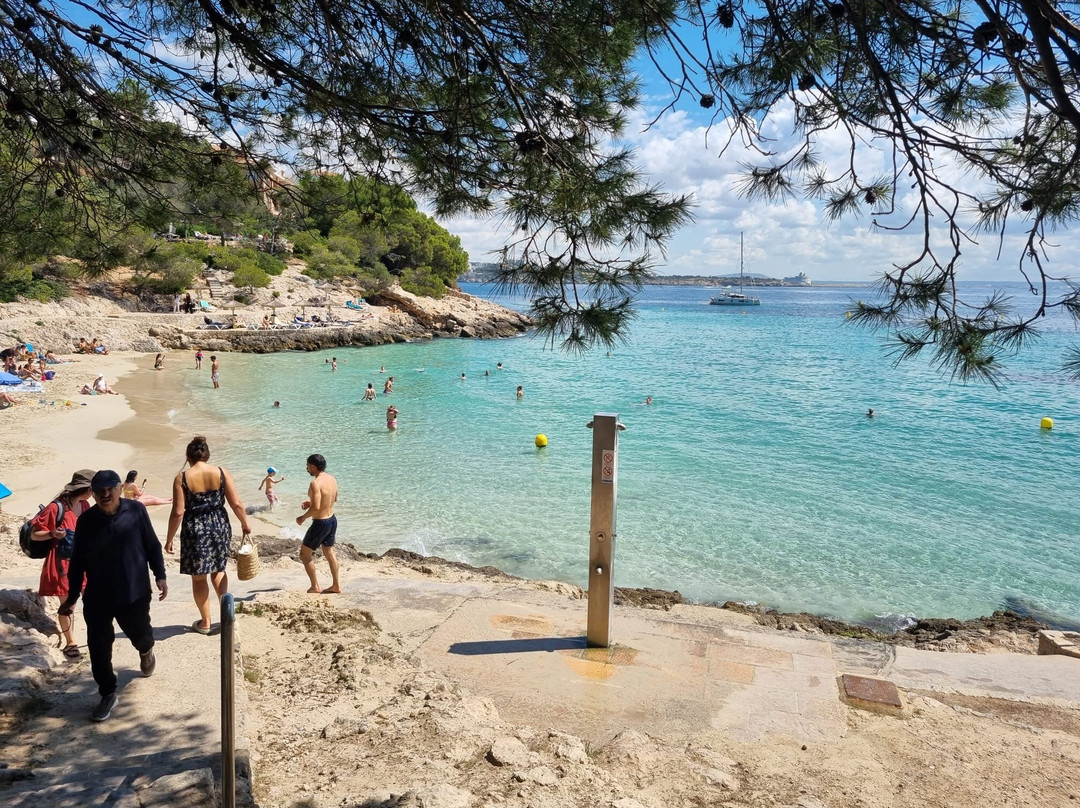 Cala Comtesa-Ses Illetes必去景点