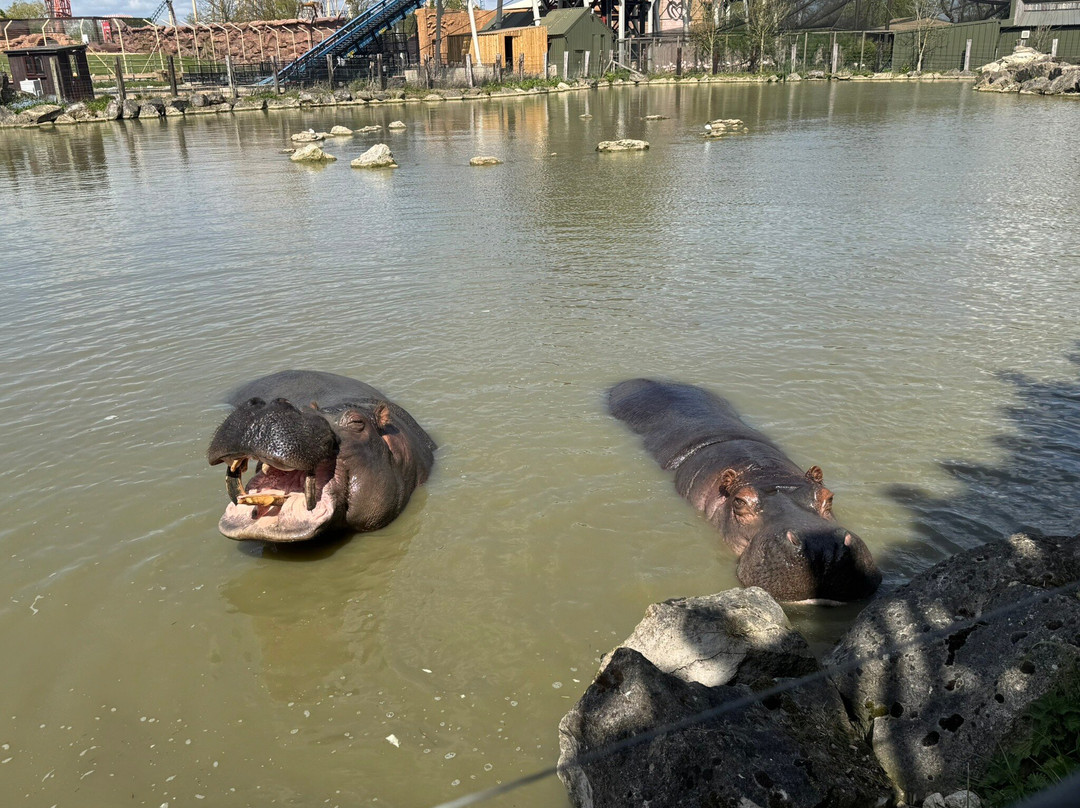 Flamingo Land Resort-Kirby Misperton必去景点