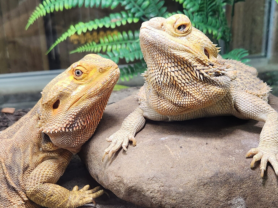 Little Ponderosa Zoo-Clinton必去景点