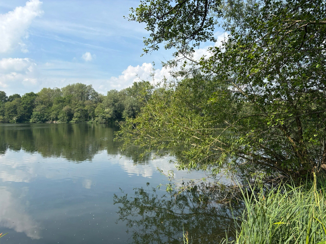 Sevenoaks Wildlife Reserve-Sevenoaks必去景点