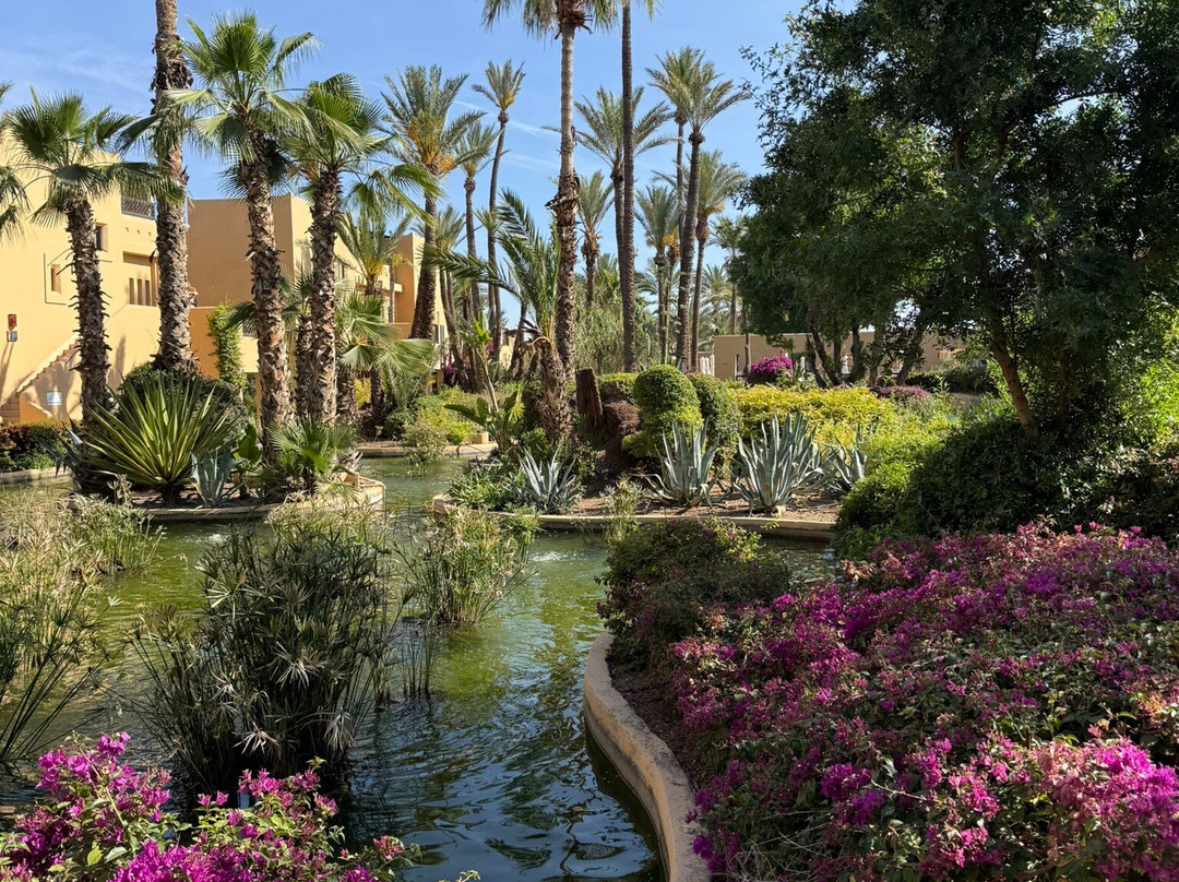 Club Med Marrakech la Palmeraie主图