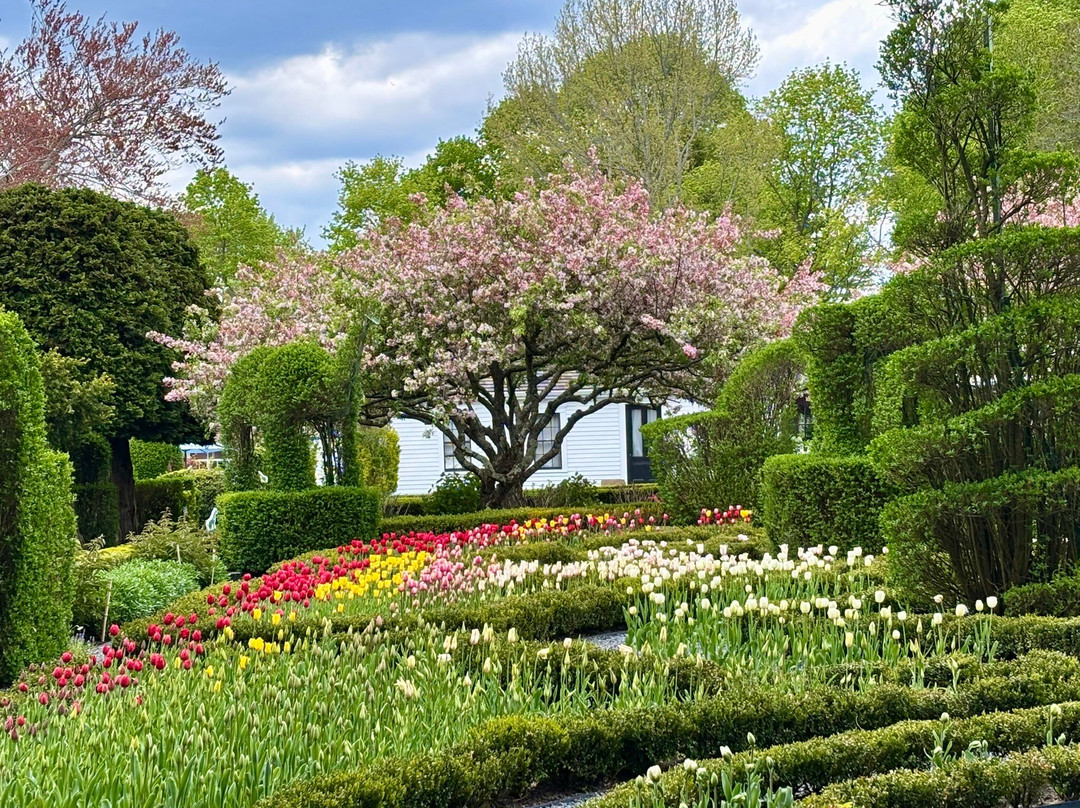 Green Animals Topiary Garden-Portsmouth必去景点