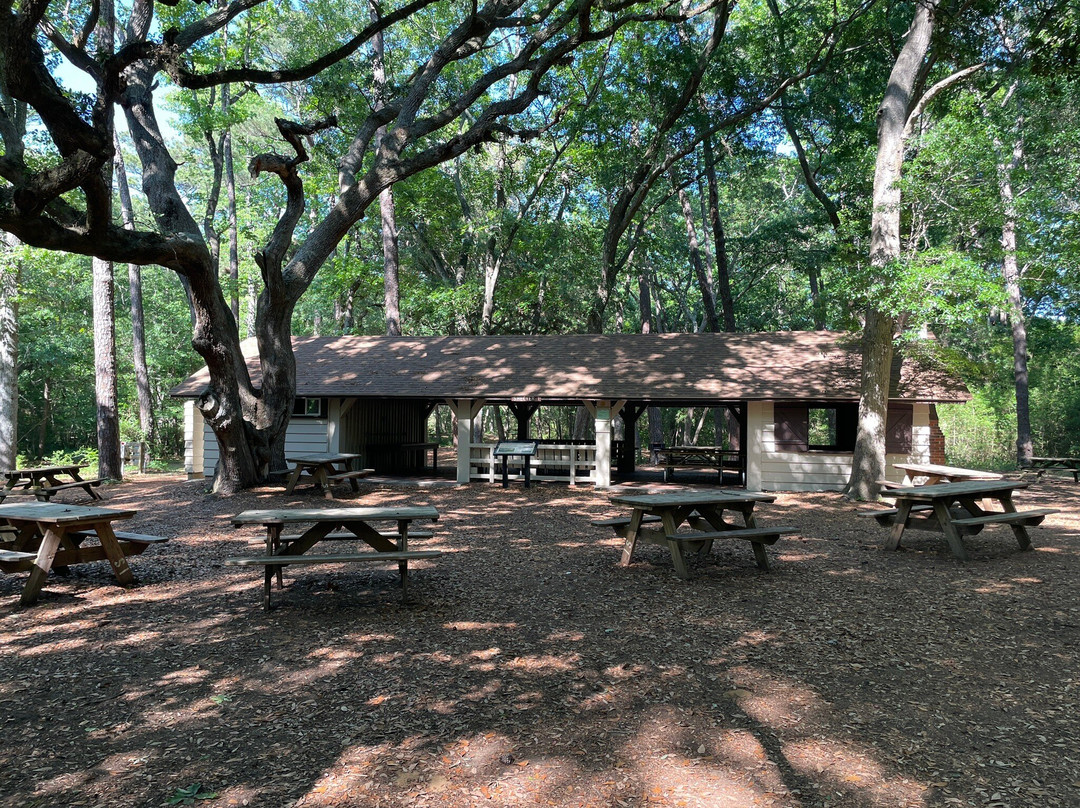Myrtle Beach State Park-美特尔海滩必去景点