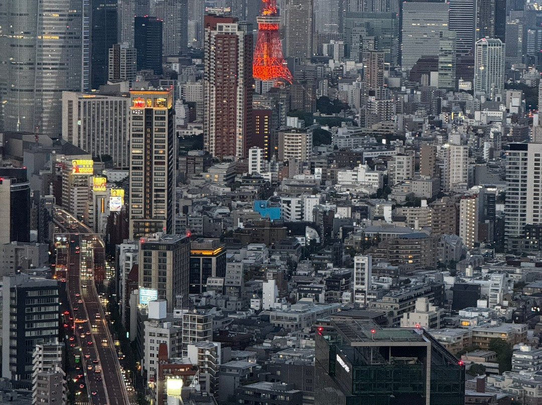 Shibuya Sky-涩谷区必去景点