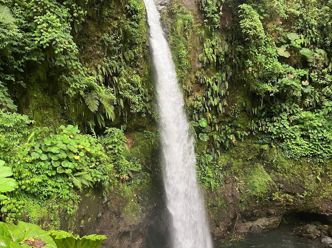 Waking Dreams Costa Rica-圣何塞必去景点