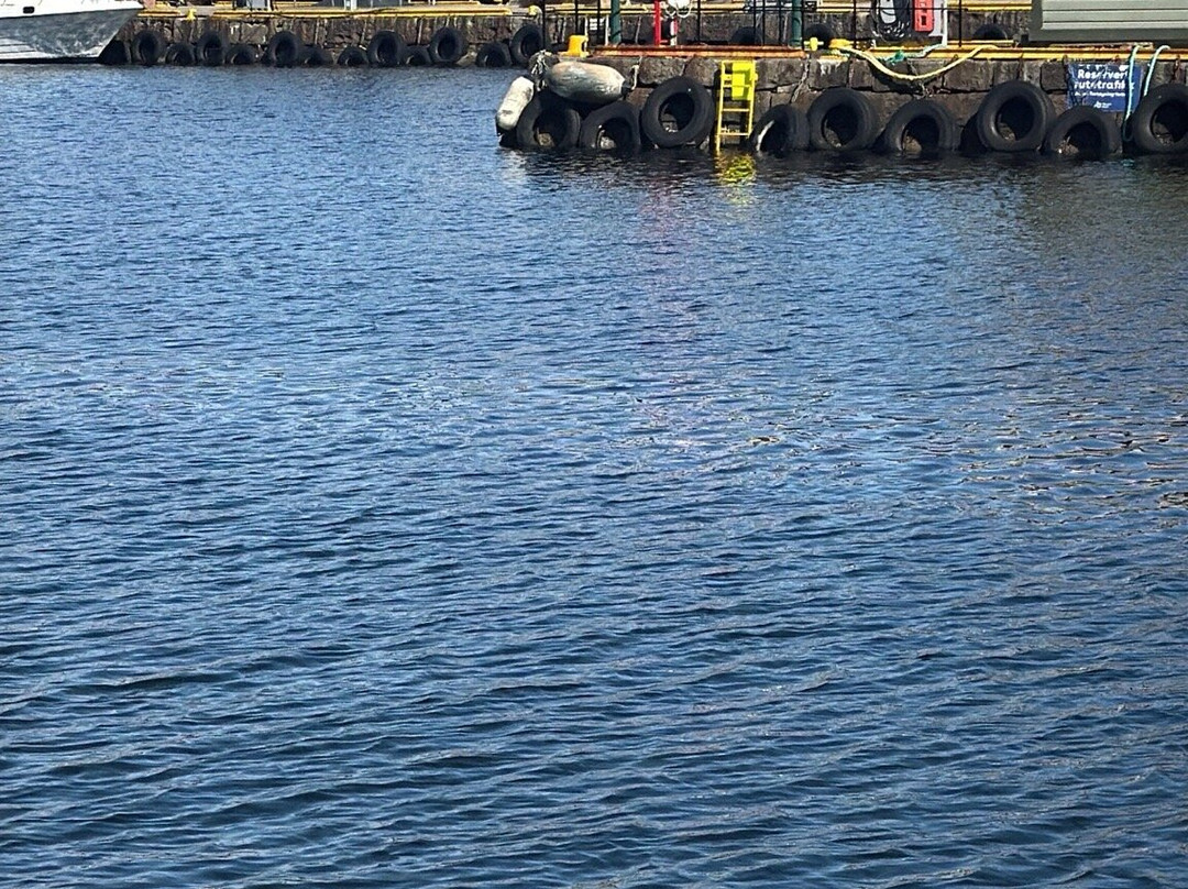 布吕根海尼赛提克码头-卑尔根必去景点
