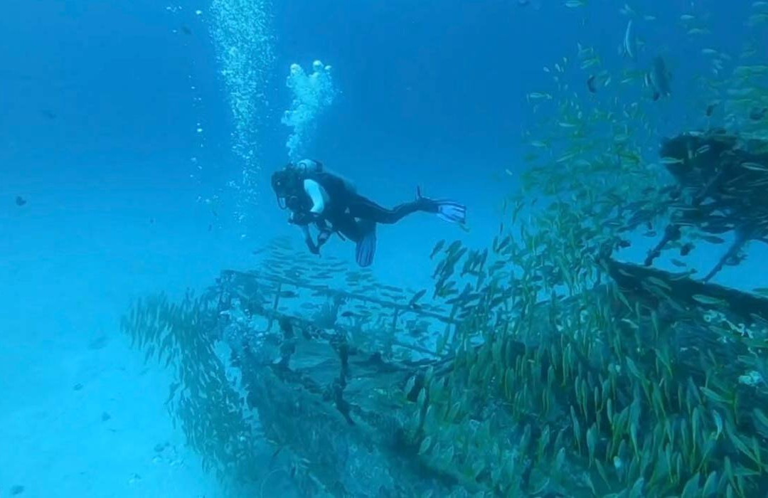 Tropical Divers Dive Center-达瑙市必去景点