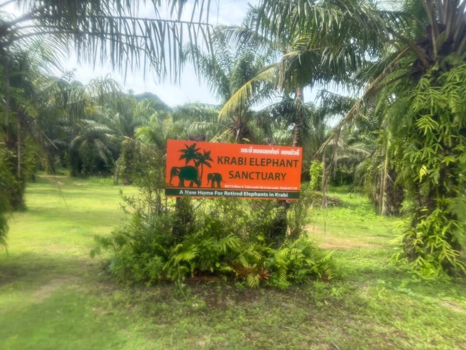 Krabi Elephant Sanctuary-甲米必去景点