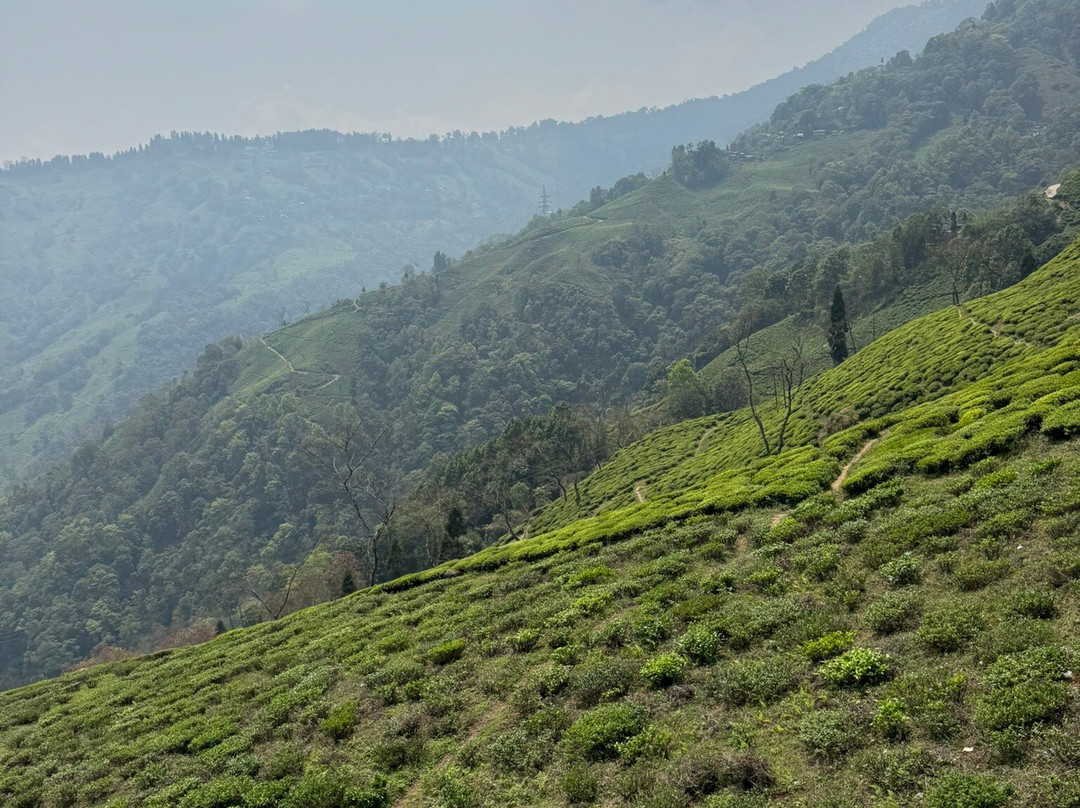 Adventure Lover's Sikkim-甘托克必去景点