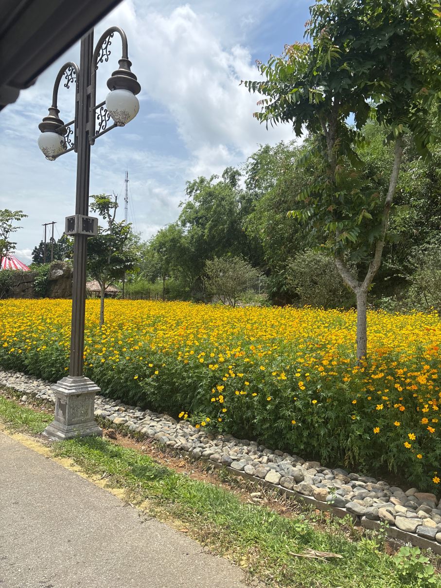 和平-塞雷纳金布伊度假村-旅行者