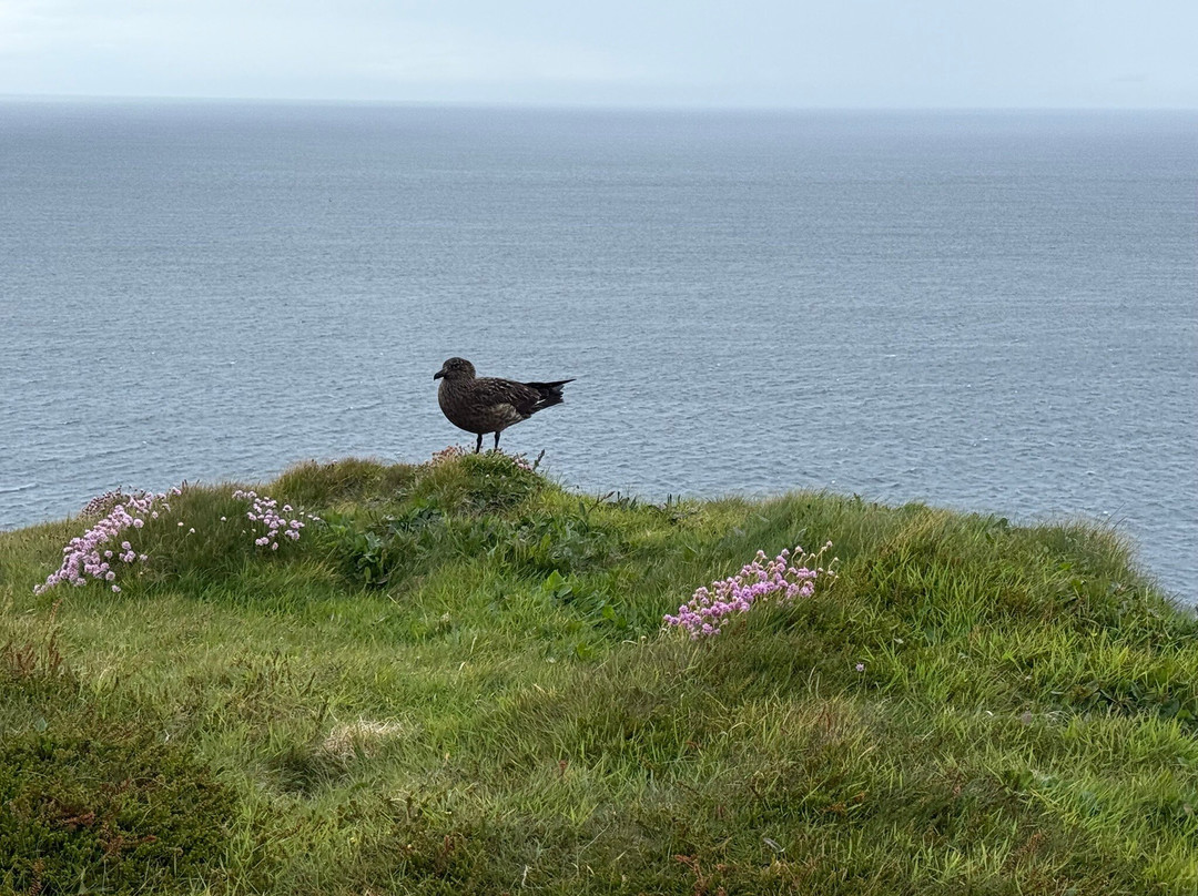Handa Island Wildlife Reserve-Handa Island必去景点
