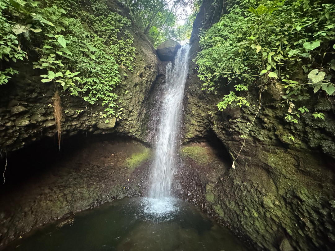 Manakin Waterfalls Nature Reserve.-Tilaran必去景点