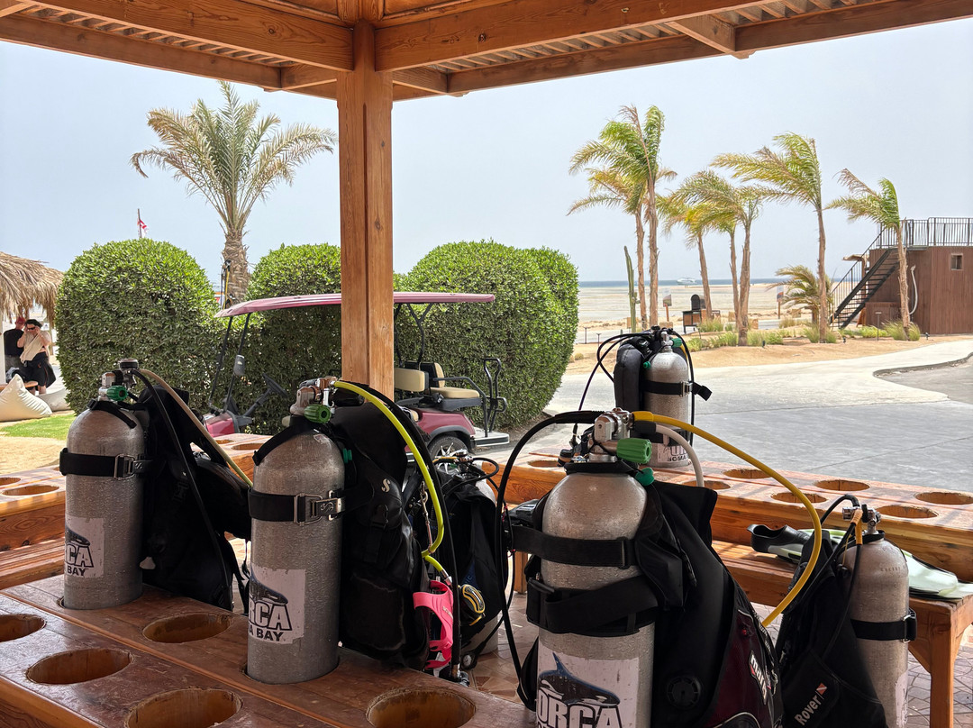 ORCA Dive Club Soma Bay-索马湾必去景点