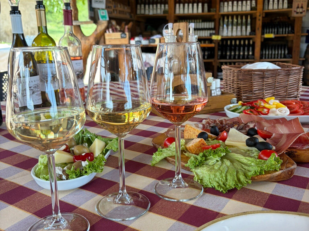 Winery Botaro-杜布罗夫尼克必去景点