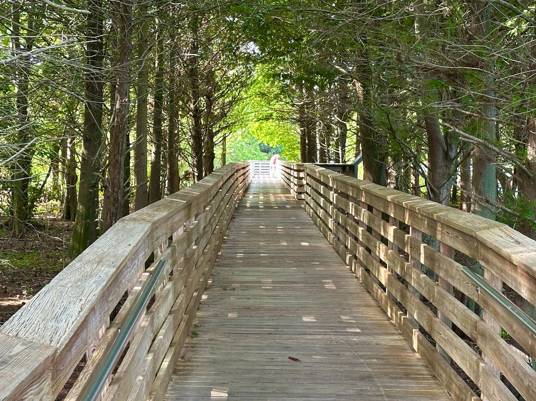 Green Cay Nature Center and Wetlands-博因顿海滩必去景点