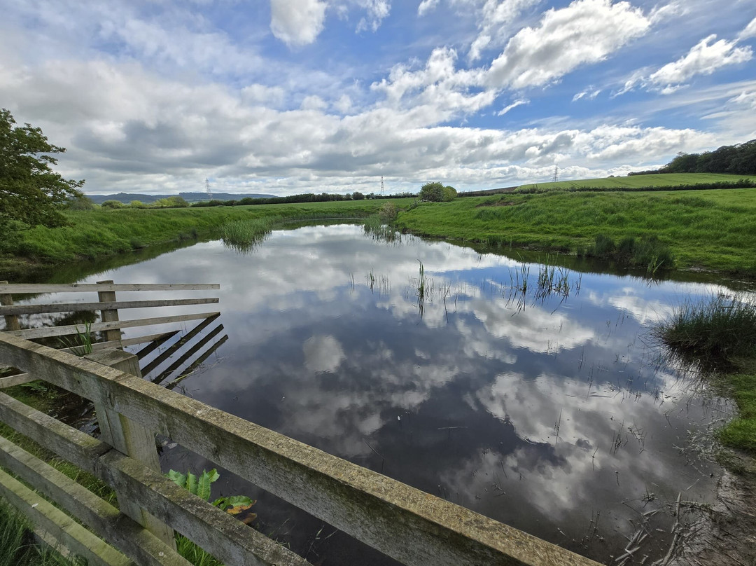 Burtree Country House And Retreat