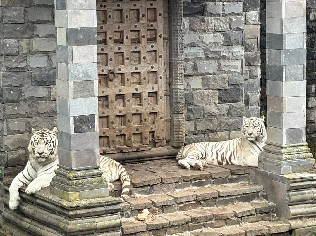 Pairi Daiza Resort主图