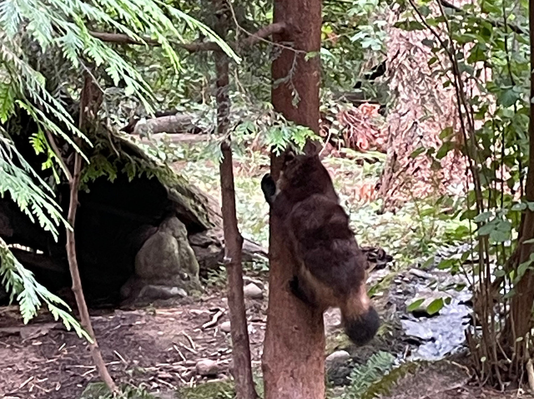 Northwest Trek Wildlife Park-Eatonville必去景点
