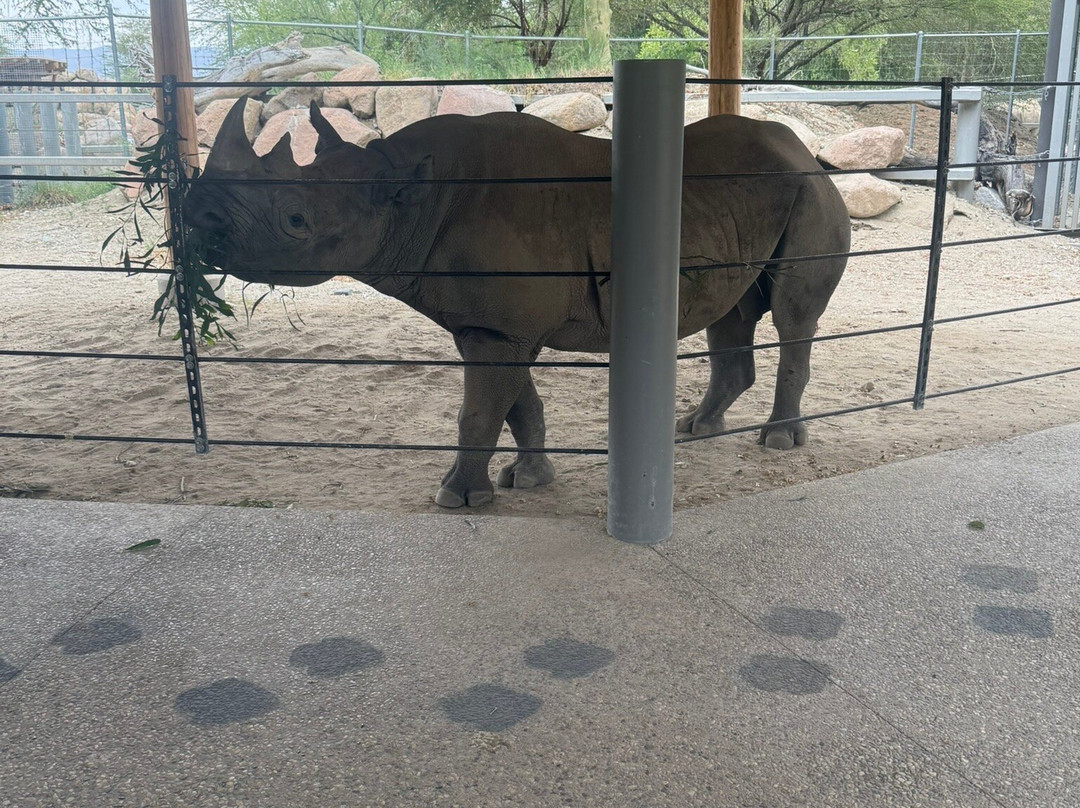 The Living Desert Zoo and Gardens-棕榈沙漠必去景点