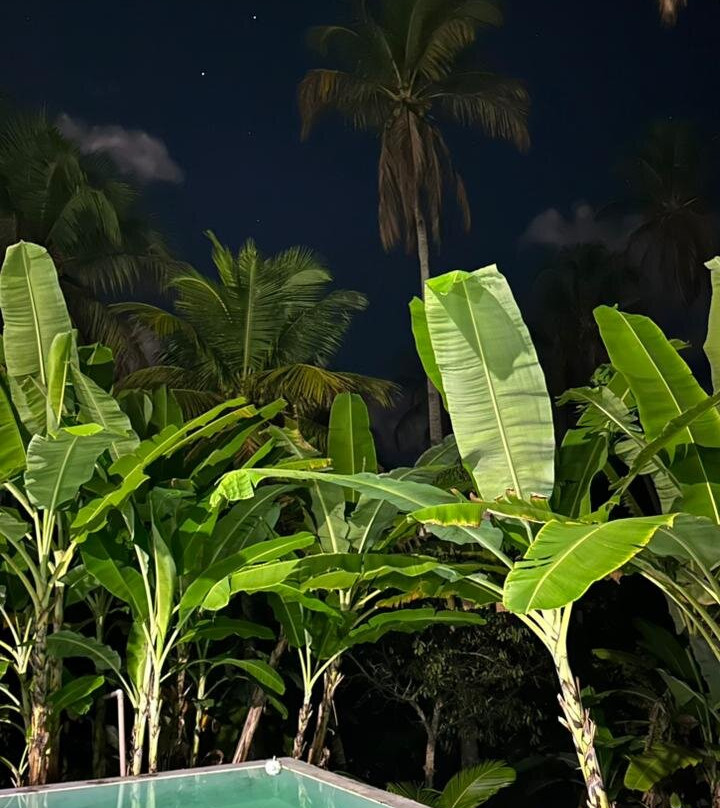 Aventura Eco Brasil-Barra de Sao Miguel必去景点