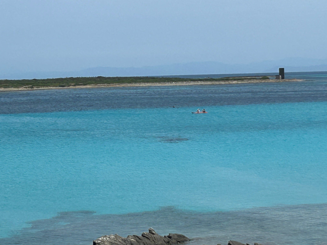 Spiaggia della Pelosetta-斯廷蒂诺必去景点
