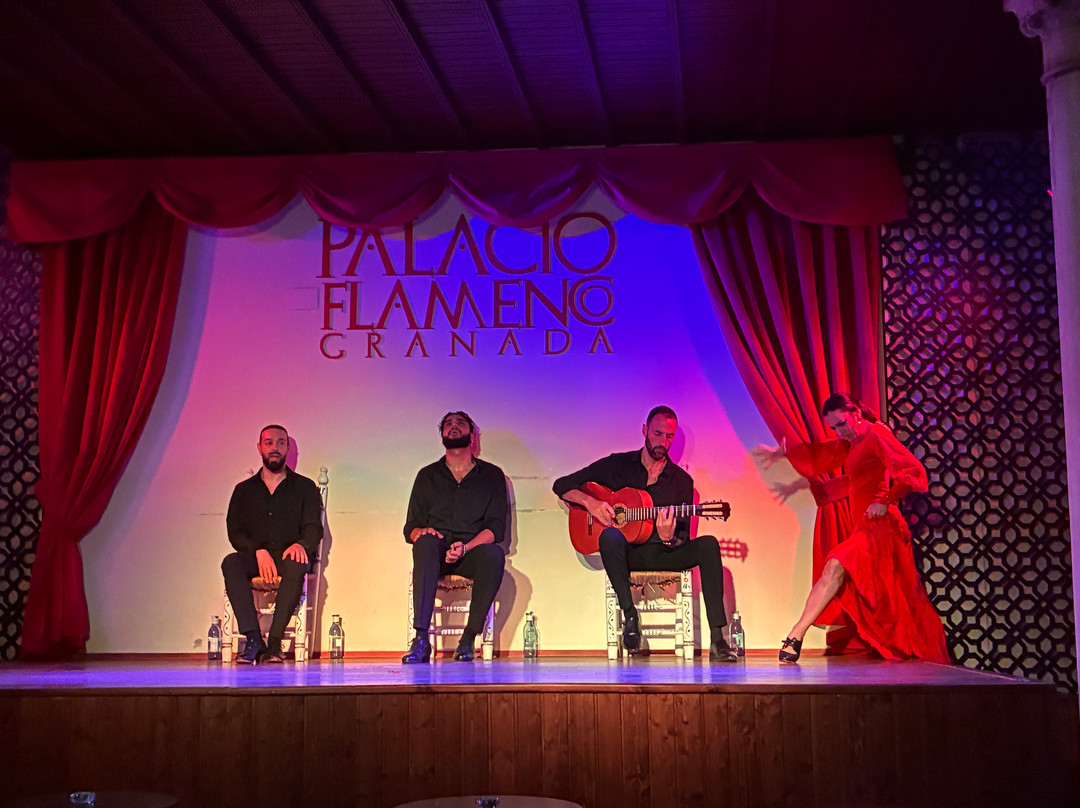 Palacio Flamenco Granada-格拉纳达必去景点