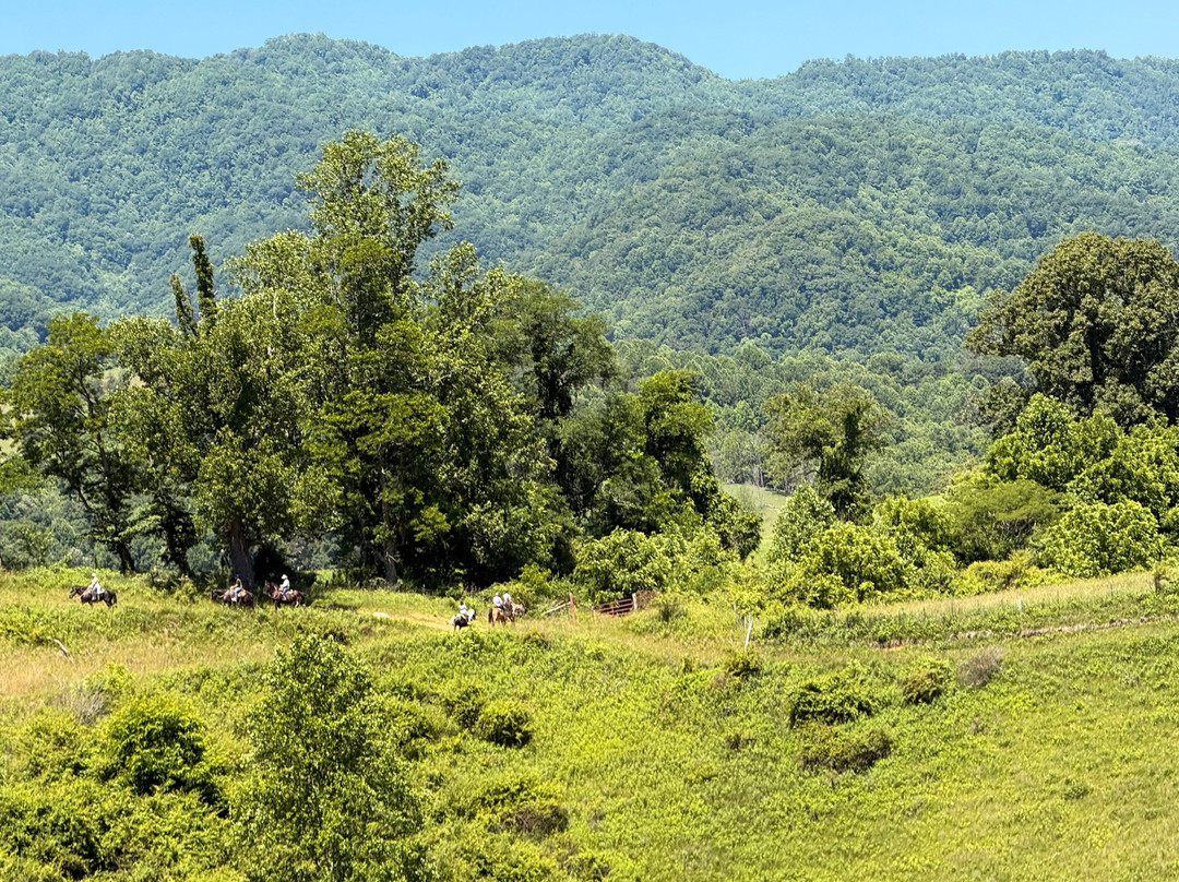 Sandy Bottom Trail Rides-Marshall必去景点
