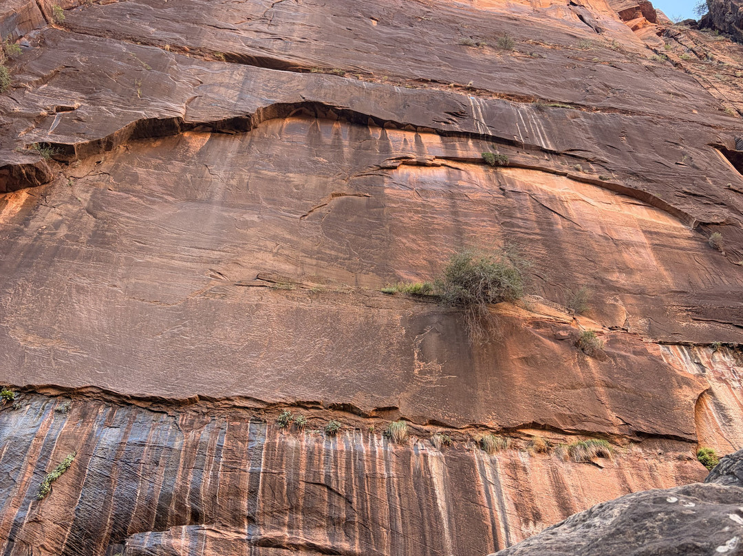 Grand Canyon Guru-Grand Canyon Village必去景点