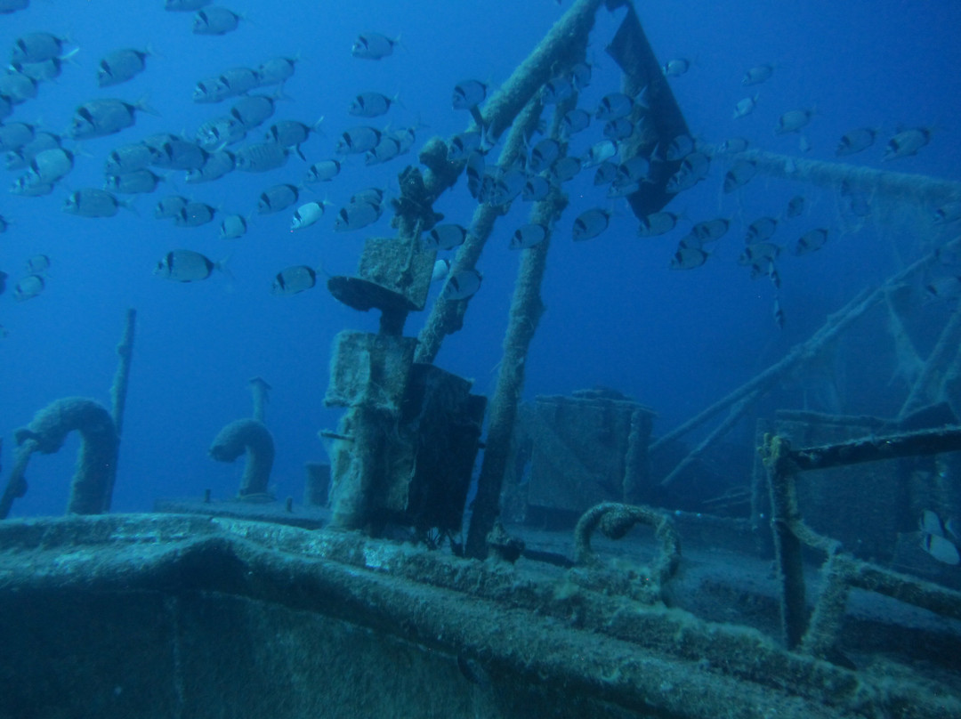 Aquapro Dive Center-Bitez必去景点