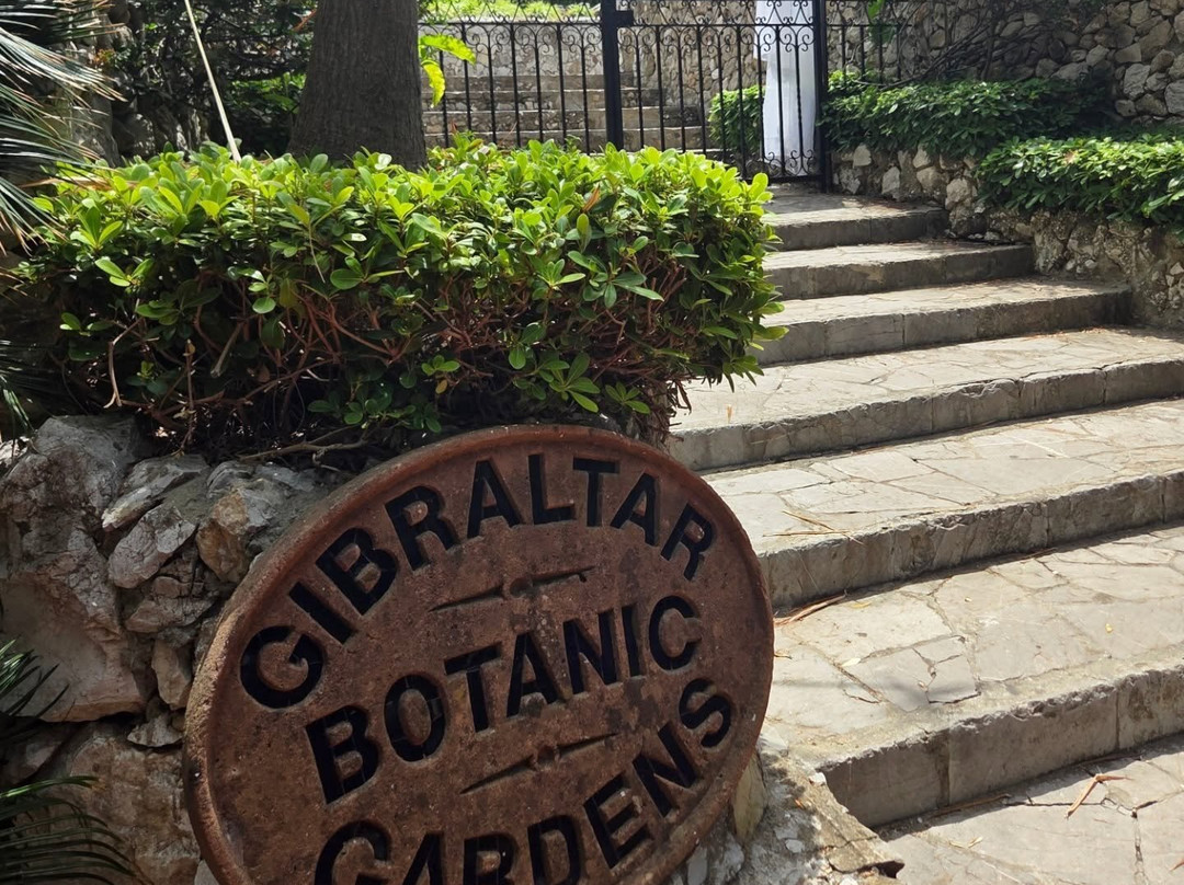 Gibraltar Botanic Gardens (The Alameda)-直布罗陀必去景点