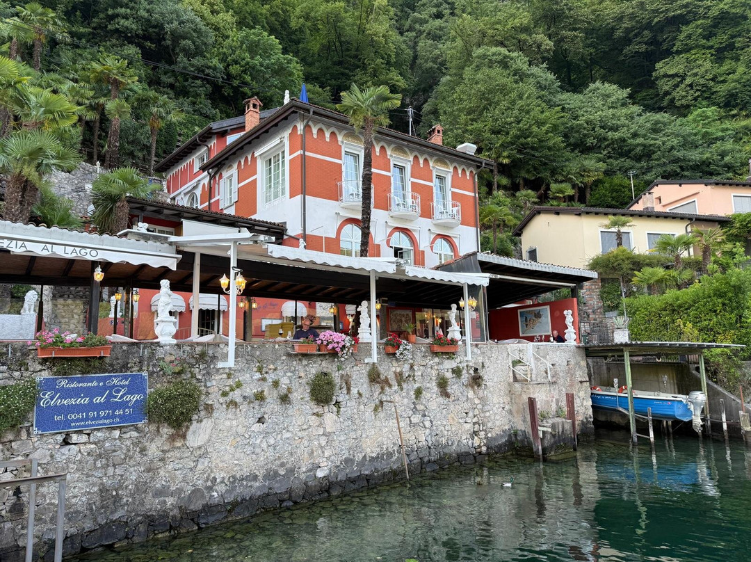 Hotel Elvezia al Lago主图