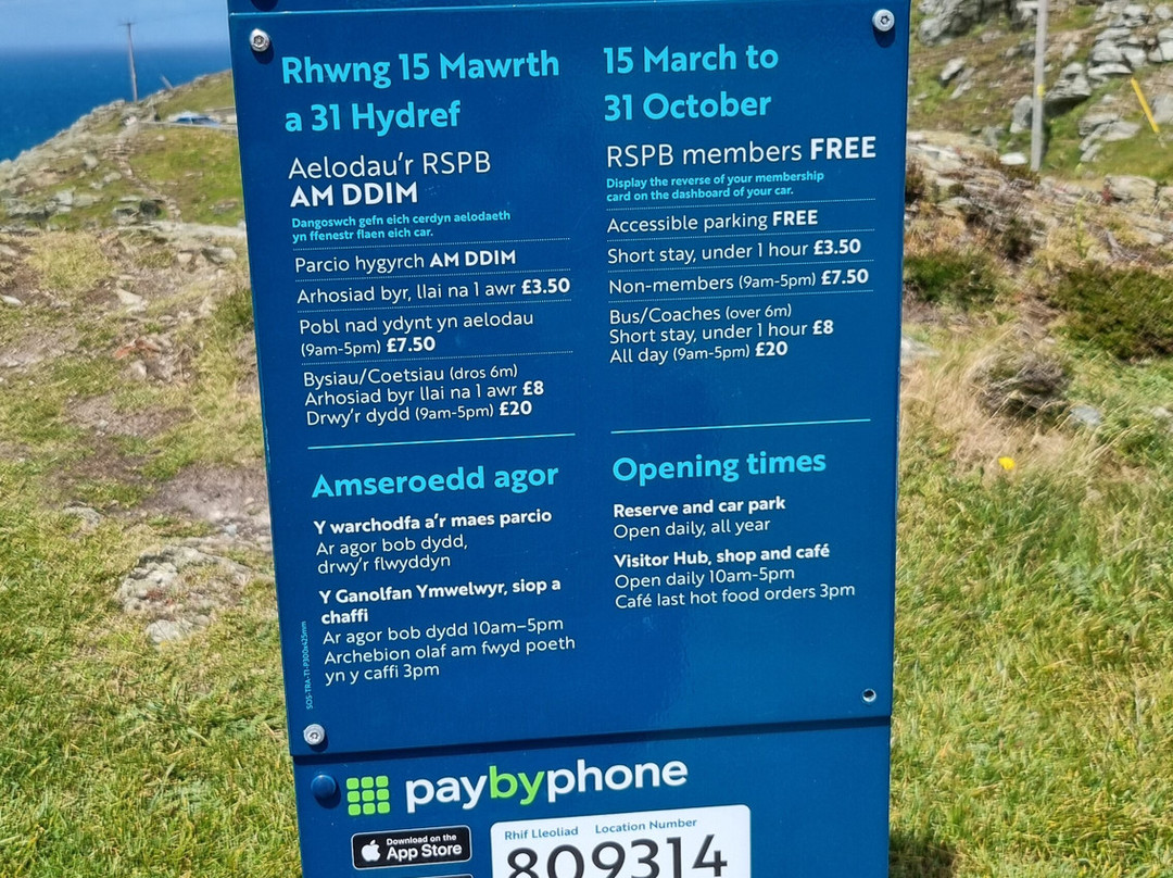South Stack Cliffs RSPB Reserve-Holyhead必去景点