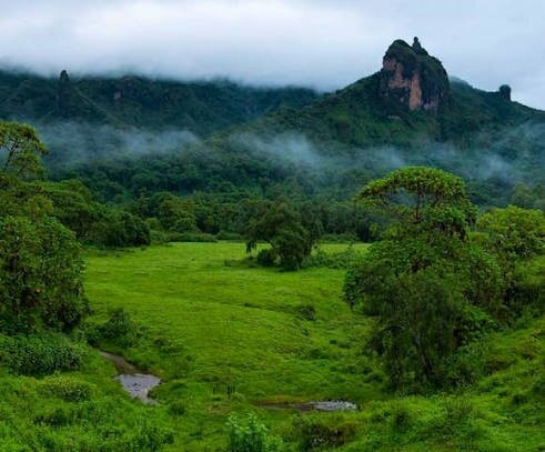 Bale Mountains National Park-亚的斯亚贝巴必去景点