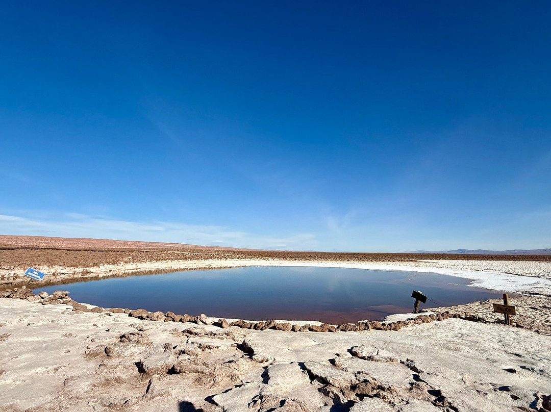 Lagunas Baltinache-圣佩德罗-德阿塔卡马必去景点