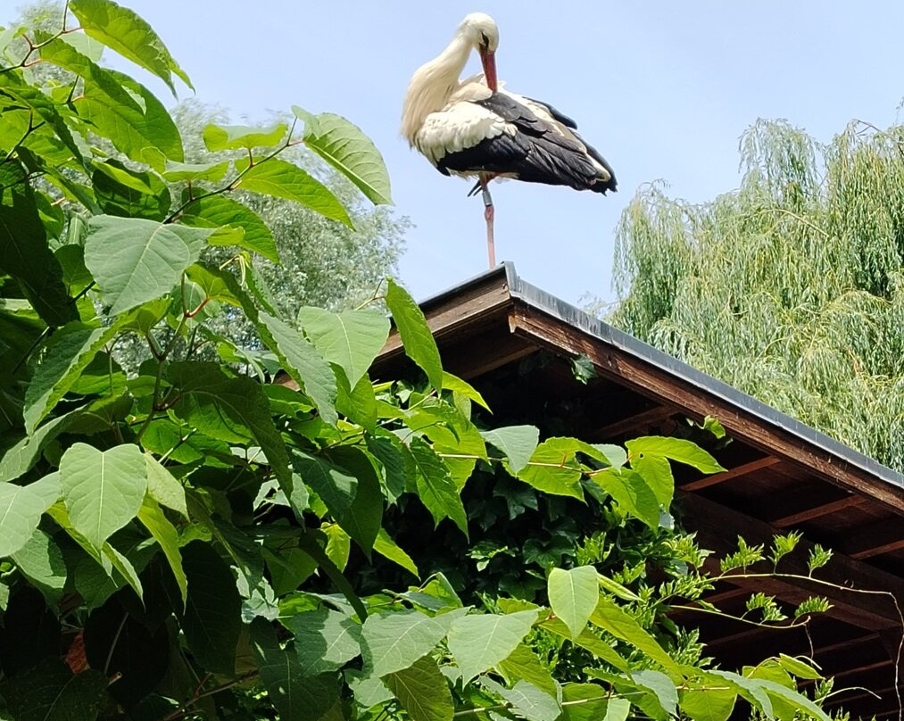 NaturoparC - Hunawihr-汉拿威必去景点