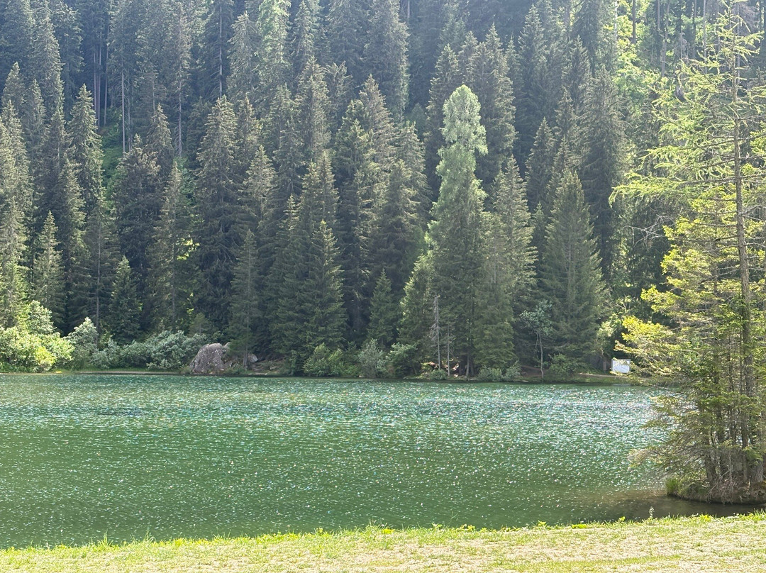 Lago dei Caprioli-Pellizzano必去景点